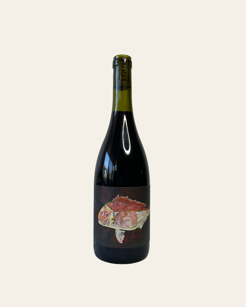 
            
                Load image into Gallery viewer, 2022 Wilkie &amp;#39;Snapper&amp;#39; Grenache
            
        